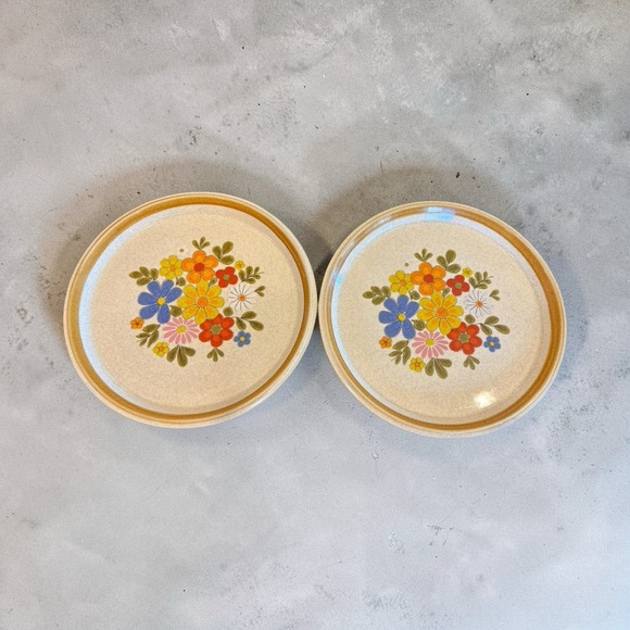 Mikasa Other - Lot of 2 Mikasa Stone Manor Floribunda Stoneware 10 7/8" Dinner Plates F5813